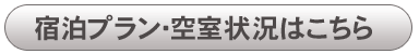 hvE󎺏󋵂͂